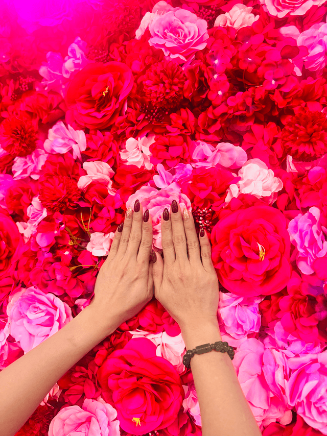 Professional nail showcase